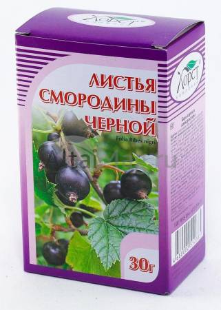 Смородина черная лист хорст. d4ffc23bb93488011c83eaf042bc0523. Смородина черная лист хорст фото. Смородина черная лист хорст-d4ffc23bb93488011c83eaf042bc0523. картинка Смородина черная лист хорст. картинка d4ffc23bb93488011c83eaf042bc0523. При атеросклерозе, авитаминозах, истощающих хронических заболеваниях, гипертонической болезни и повышенной ломкости капилляров, при ревматизме, подагре, гастритах, геморрое, болезнях печени и почек, при простудных заболеваниях, нейродермитах, экземах, диатезах.